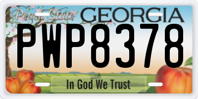 GA license plate PWP8378