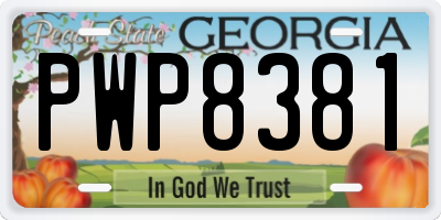 GA license plate PWP8381