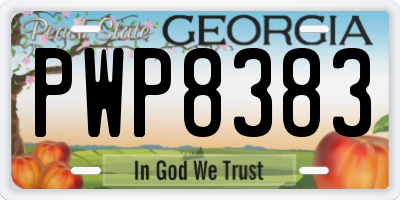 GA license plate PWP8383