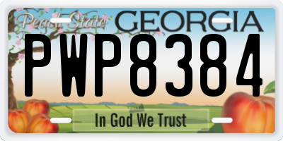 GA license plate PWP8384