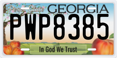 GA license plate PWP8385