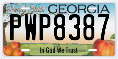 GA license plate PWP8387