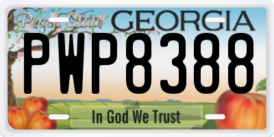 GA license plate PWP8388