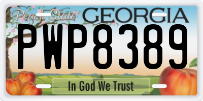 GA license plate PWP8389