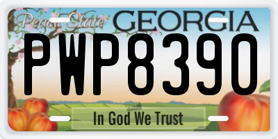 GA license plate PWP8390