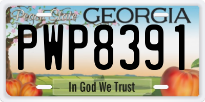 GA license plate PWP8391