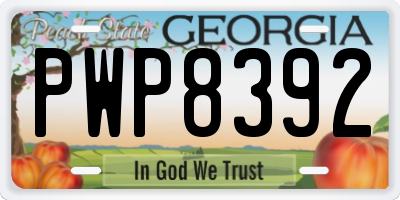 GA license plate PWP8392