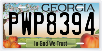 GA license plate PWP8394