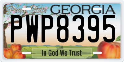 GA license plate PWP8395