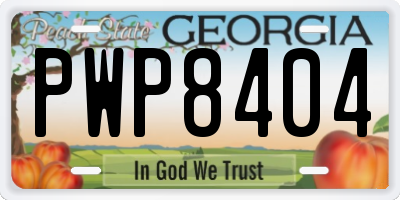 GA license plate PWP8404