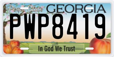 GA license plate PWP8419