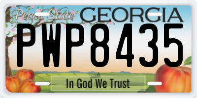 GA license plate PWP8435