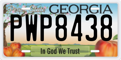 GA license plate PWP8438