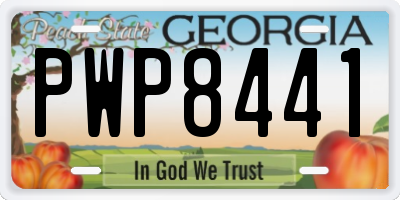 GA license plate PWP8441