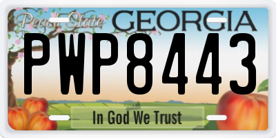 GA license plate PWP8443