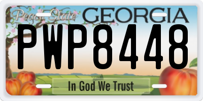 GA license plate PWP8448