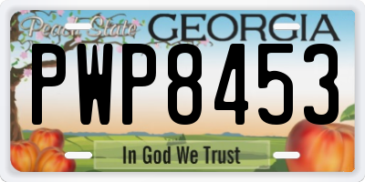 GA license plate PWP8453