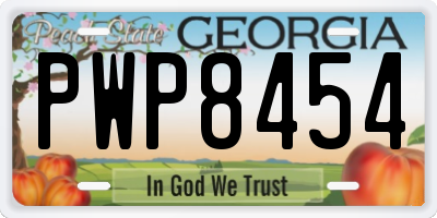 GA license plate PWP8454
