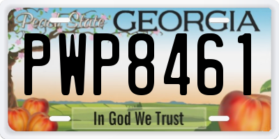 GA license plate PWP8461