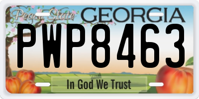 GA license plate PWP8463