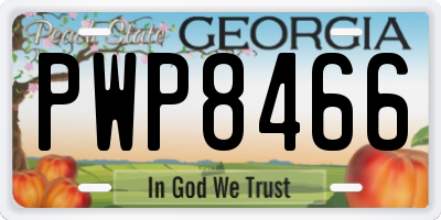 GA license plate PWP8466