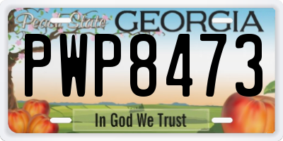 GA license plate PWP8473