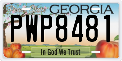 GA license plate PWP8481