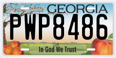 GA license plate PWP8486