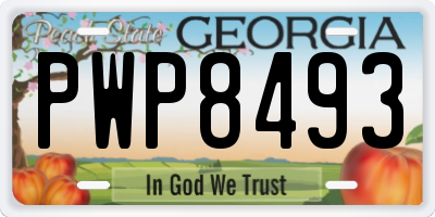 GA license plate PWP8493