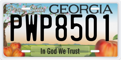 GA license plate PWP8501