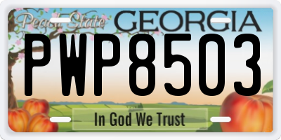 GA license plate PWP8503