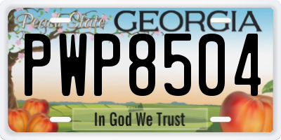 GA license plate PWP8504