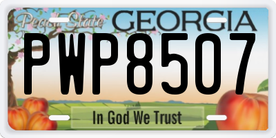 GA license plate PWP8507