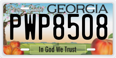 GA license plate PWP8508