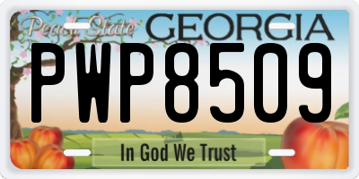 GA license plate PWP8509