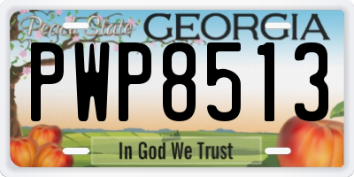 GA license plate PWP8513