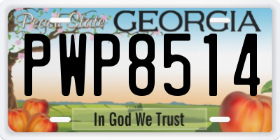 GA license plate PWP8514