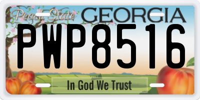 GA license plate PWP8516