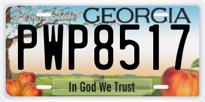 GA license plate PWP8517