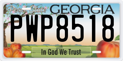 GA license plate PWP8518