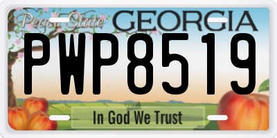 GA license plate PWP8519