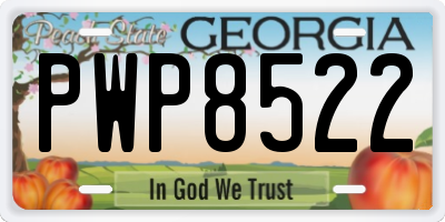 GA license plate PWP8522