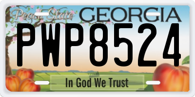 GA license plate PWP8524