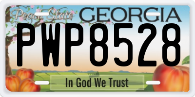 GA license plate PWP8528