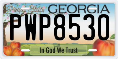 GA license plate PWP8530