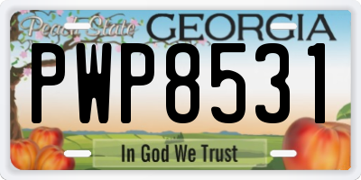 GA license plate PWP8531