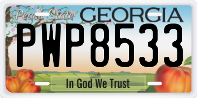 GA license plate PWP8533