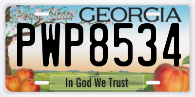 GA license plate PWP8534