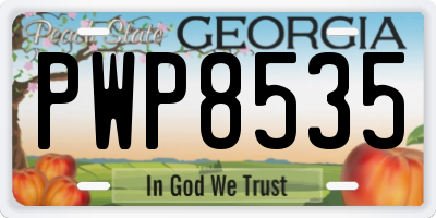 GA license plate PWP8535
