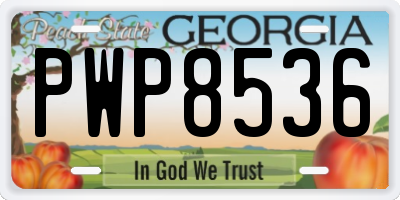 GA license plate PWP8536